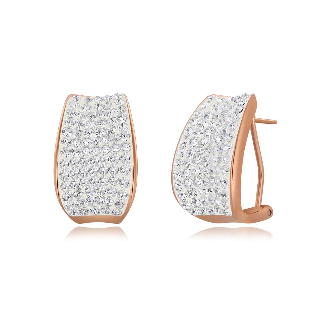 Rose Gold Stainless Steel Hoop Earrings with Sparkling Crystal Inlay