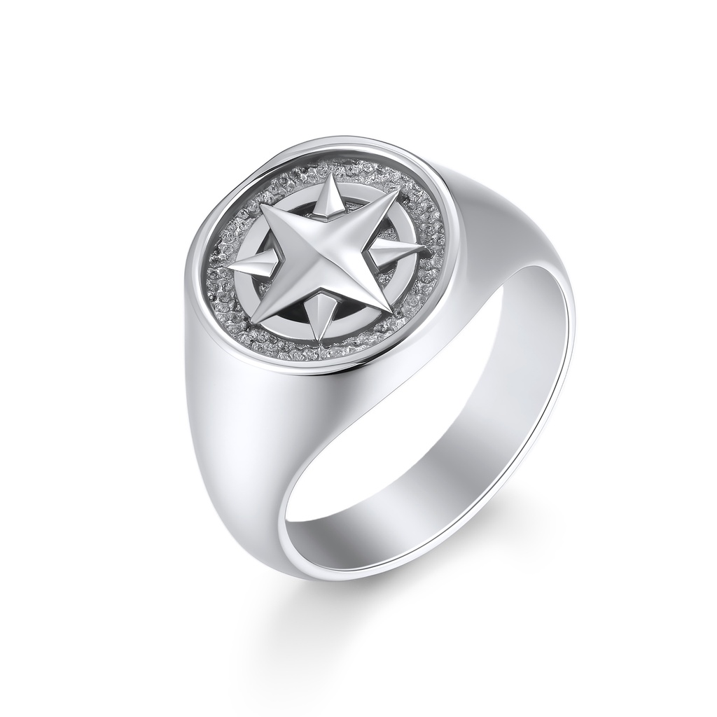 Stainless Steel Signet Ring with 3D Star and Crystal Accents